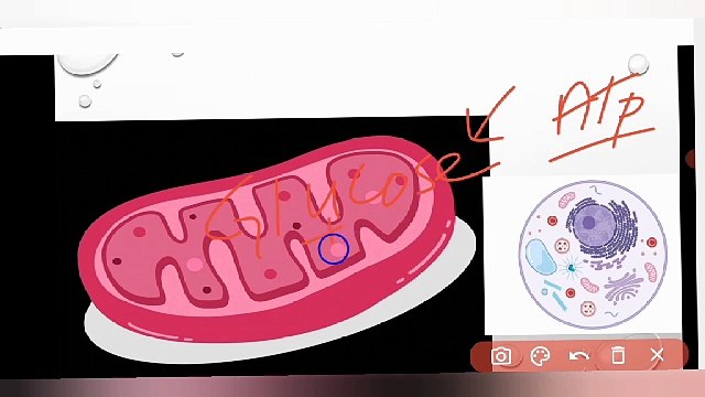 cell as an open system class 9 Biology in Urdu / in Hindi | Lec #18 | chp #4 | cells and tissues