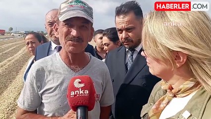 Video herunterladen: CHP Kadın Kolları Genel Başkanı Asu Kaya, Osmaniye'deki Yer Fıstığı Üreticilerini Dinledi