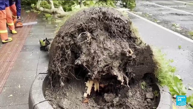 Chine : le typhon Bebinca, le plus fort depuis 1949, frappe Shanghaï