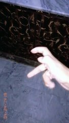 ssstik.io_@jiya.sheikh43_1726501325429