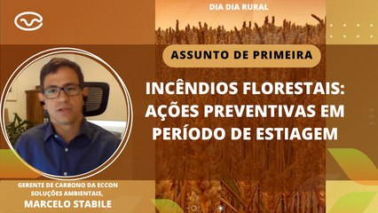 Descargar video: Incêndios florestais: Ações preventivas em período de estiagem