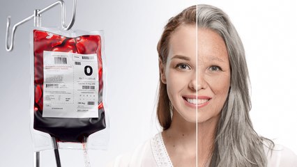 Could Blood Replacement Therapy Reverse Aging?