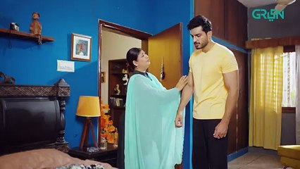 Meray Ranjhna Episode 45 | Hina Altaf, Faraz Farooqui, Washma Fatima & Omer Shahzad | Green TVdrama