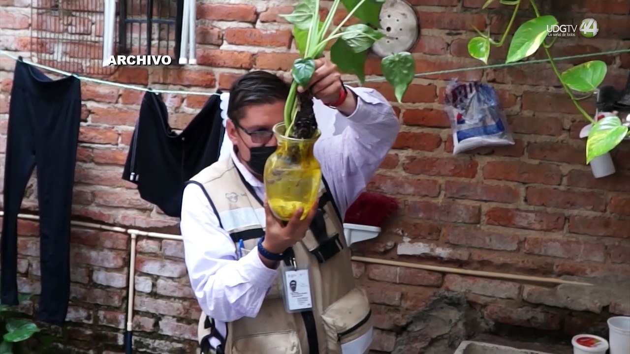 Alerta Secretaría de Salud ante incremento exponencial de dengue