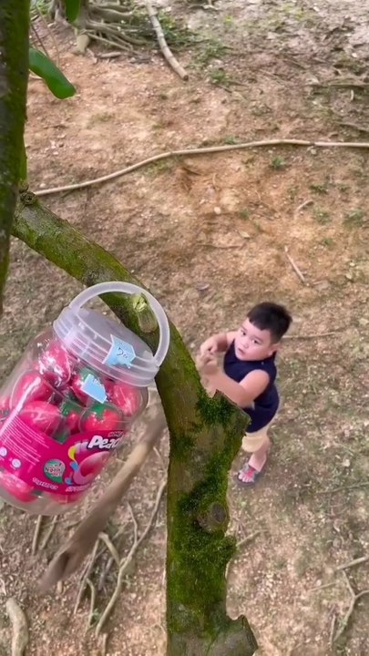 kids play