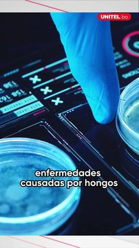 ¡Atención! Hay una amenaza mundial por las enfermedades causadas por hongos