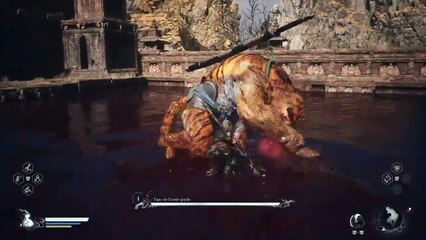 Black Myth - Wukong (PS5) Ép 9 : l'Arène du Sang et le Pont de la Mort !