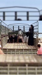 The goat life part2 movie hindi trending 2025 امرأة تائه في الصحراء