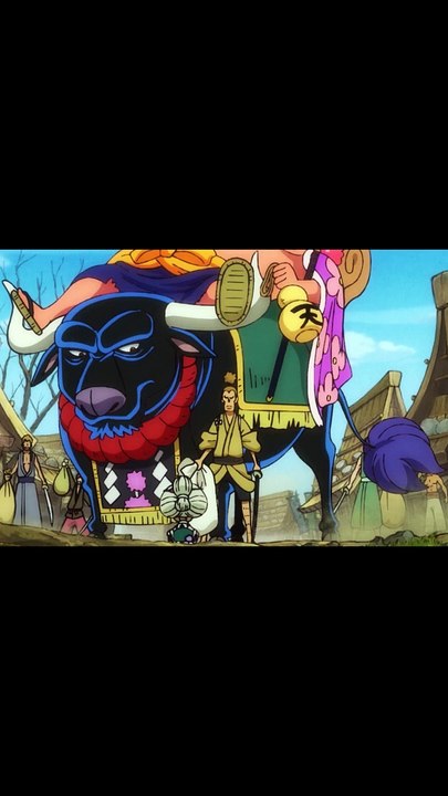 One Piece Home