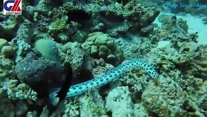 DRAMATIC CONFRONTATION-1