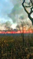 Incendio en el Delta del Tigre