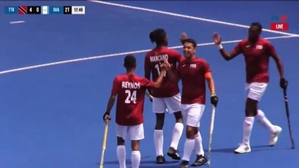 DARREN COWIE ON HOCKEY SUCCESS