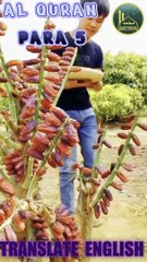 Al-Quran para number 5 full English translation recited by Qari Bilal Muaz