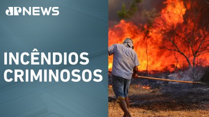 Lula se reúne com ministros para debater queimadas