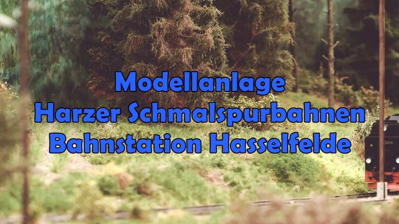 Eine der schönsten Modellbahnen der Harzer Schmalspurbahnen: Bahnhof Hasselfelde der Selketalbahn