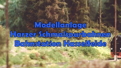 Eine der schönsten Modellbahnen der Harzer Schmalspurbahnen: Bahnhof Hasselfelde der Selketalbahn