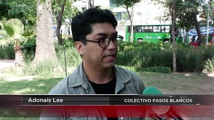 La mitad de víctimas por atropellamiento son peatones