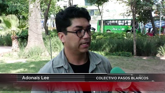 La mitad de víctimas por atropellamiento son peatones