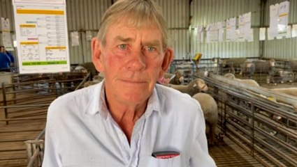 Far Valley Dohnes sale | Farm Weekly