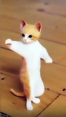 Beautifull cat dance for fun video Ammazing dance /kids-learning-point