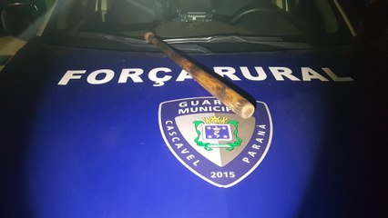 Rapaz é preso após agredir ex-mulher com taco de baseball e pegar o filho de 3 anos sem autorização