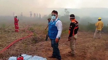 Al menos 15 muertos por incendios forestales en Perú en lo que va de 2024