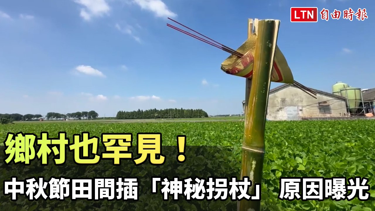 鄉村也罕見！ 中秋節田間插著「神秘拐杖」 背後原因曝光