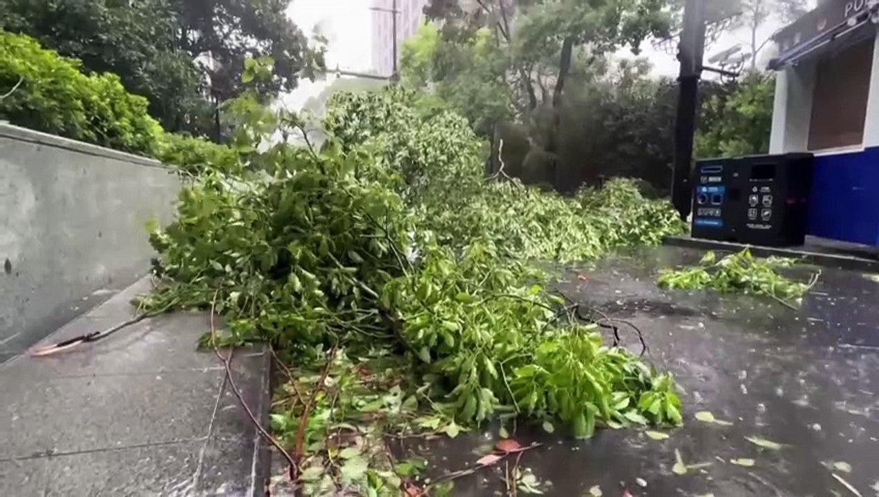 Typhoon Bebinca hits Shanghai, toppling trees and forcing evacuations