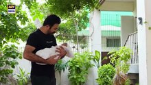 tark e wafa episode 70 | 11 sep 2024 | ary digital dramaWatch all the episode of "Tark e Wafa " here : https://bit.ly/3xSEvuX​  Tark e Wafa Episode 70 | Mohib Mirza | Hina Chaudhary |