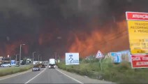 Incêndio em Albergaria-a-Velha