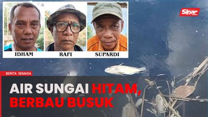 Ikan mati: Penduduk bimbang keadaan Sungai Rinting