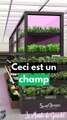 Des champs dans ton supermarché !