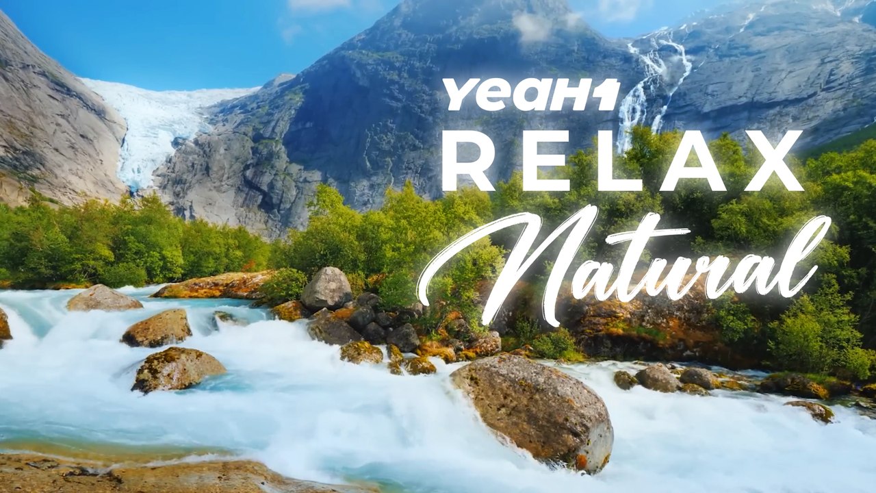 Peaceful Forest Ambience With Gentle Music For Relaxation | YeaH1 Relax Natural