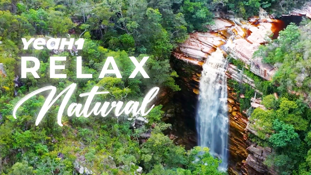 Smooth And Serene: Jazz Music For Peaceful Evenings | YeaH1 Relax Natural