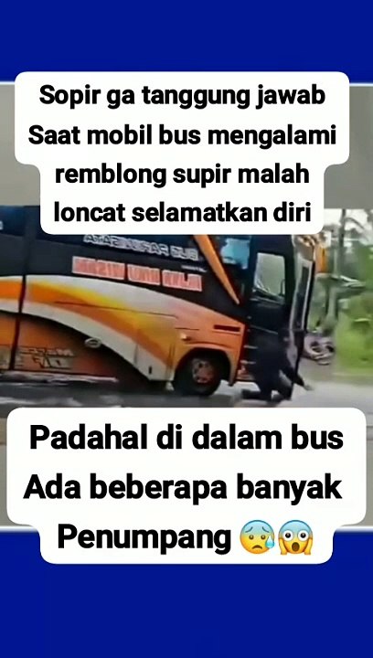 Supir goblok