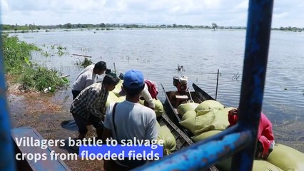 Myanmar floods: Death toll rises, with hundreds of thousands in need