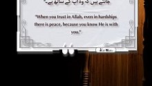 Best Quotes #shorts #shortvideo #shortsfeed #short #shortsviral #quran #video #viralvideo #islam