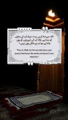 Best Quotes #shorts #shortvideo #shortsfeed #short #shortsviral #quran #video #viralvideo #islam