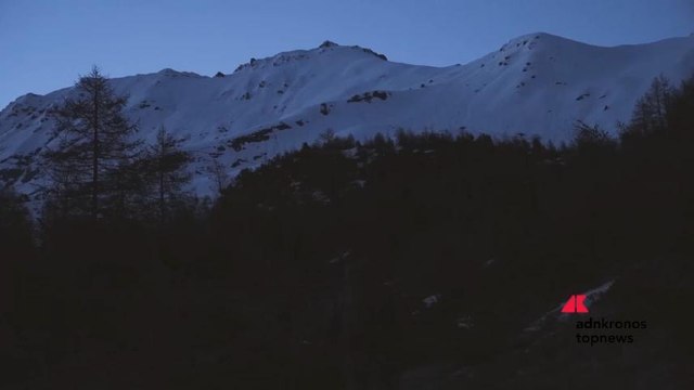 Operazione Paladini del Territorio, un impegno a tutela della biodiversità