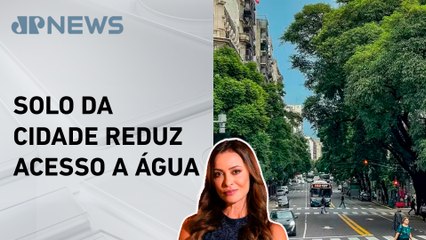 Árvores urbanas são mais afetadas pelo calor e seca; Patrícia Costa explica