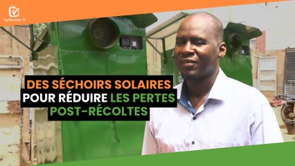 Niger : Des séchoirs solaires pour réduire les pertes post-récoltes