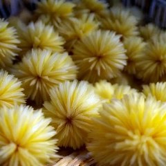 AI video # mangos turn in to  chicks #fruite change in to animal #freefire #gamesff #freefirelovers