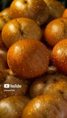 AI #orange turn into tiger #friut turn into animal  #freefire #gamesff #freefirelovers