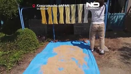 Японские шары тэмари: сохранение древних традиций через искусство ручной работы и молитвы