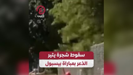 سقوط شجرة يثير الذعر بمباراة بيسبول