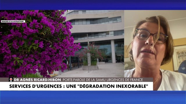 Dr Agnès Ricard-Hibon : «Il y a une mise en danger de la population»