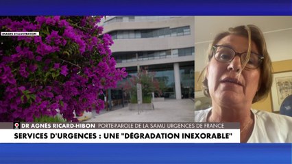 Dr Agnès Ricard-Hibon : «Il y a une mise en danger de la population»
