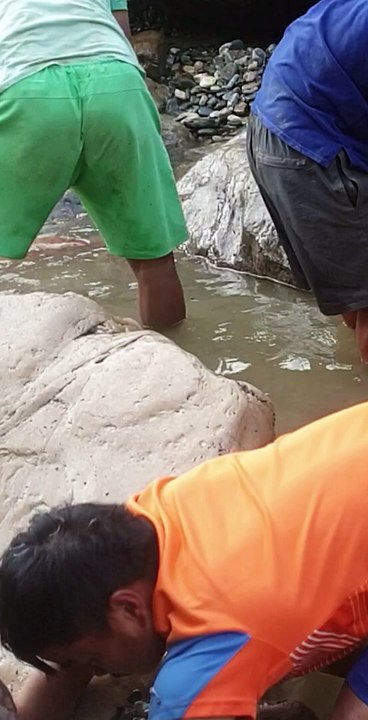 Duwali Fishing in Nepal | Most Primitive Fishing Method in Nepal | Himalayan Trout Fishing in Nepal |