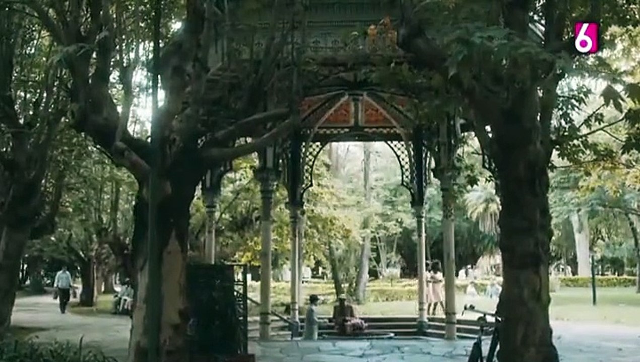 32. Amor Perfecto (Amor Perfeito), en español