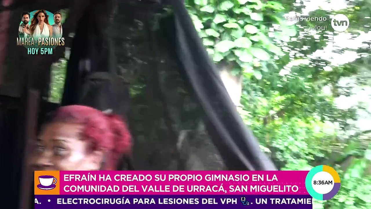 Robin desde el Parque de Urracá